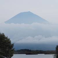 富士山が見たい！　清水港でマグロ三昧と山梨県の富岳風穴　休暇村富士に泊まろう♪