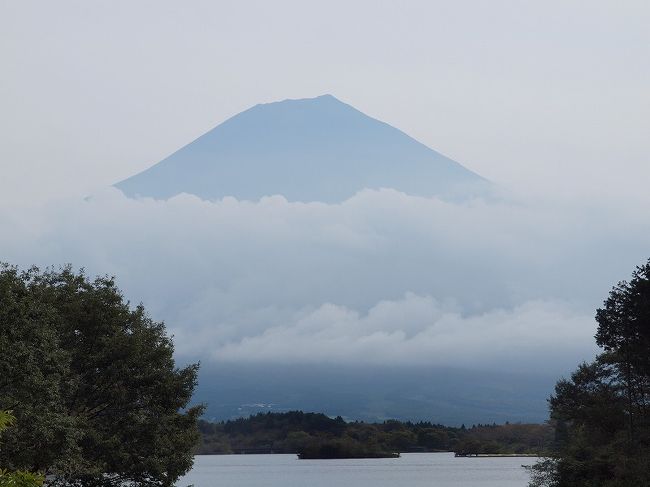 富士山が見たい！　清水港でマグロ三昧と山梨県の富岳風穴　休暇村富士に泊まろう♪