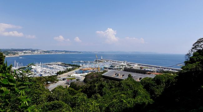 鎌倉・江の島バス旅行2-江の島　丸だい仙水で昼食 新江ノ島水族館