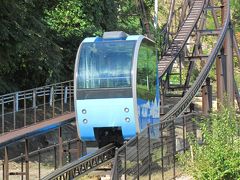 長野新幹線に乗って茶臼山動物園までレッサーパンダの赤ちゃん詣2013（２）茶臼山モノレールに乗って茶臼山動物園へ＆レッサー以外の動物たちはオーソドックスな子たちがちょっとだけ