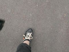 ★悪いたぬきさんの結局またロンドンでした紀行★スマホでポン！