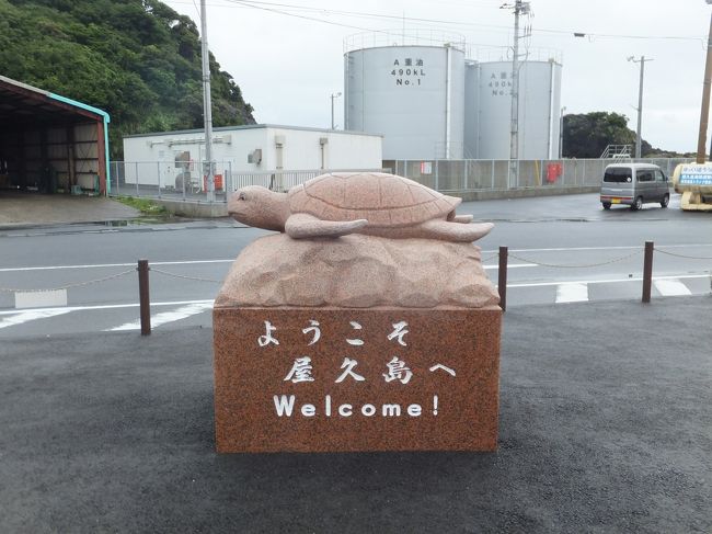 2013年、念願の屋久島に行くことができました。もちろんケータイ国盗りの薩南諸島盗りがメインだったのですが、もともと世界遺産にもなっているし、最近は西表島でのアウトドアも行き尽くした感もあったので少し早い夏休みを兼ねて行くことにしました。<br />ちょうど梅雨時と言うことで混雑もなく人が少ない分、じっくりと楽しむことができました。<br />いよいよ高速船トッピーに乗船して屋久島に上陸します。屋久島は月に40日雨が降ると言われる雨の多い島。<br />到着したときは雨は降っていませんでしたが、すぐに降り出してきました。<br />翌日は朝４時に起床してトレッキングなので、夜ご飯を食べて早々に寝ました。