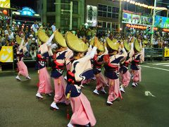 １年越しの日帰り阿波踊り