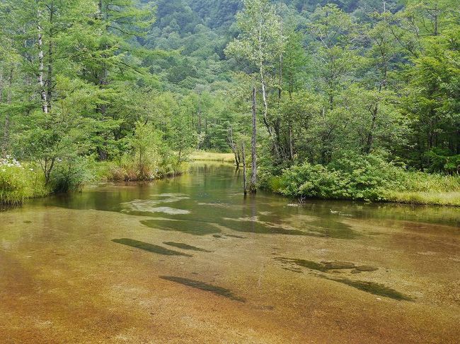 <br />夏になる前から高尾山や奥武蔵など近郊の低山歩きを始めましたが、さすがに真夏の低山はきつい。<br />そこでふと思い立って、上高地へ日帰り弾丸山旅を敢行しました。<br /><br />下界は猛暑が続いてますがここは別世界。<br />天気は今いちで目の前の穂高連峰は雲の中だったけど、爽やかな空気と梓川のせせらぎに癒されました。<br />やはり第一級の観光地だけのことはあります。<br /><br /><br /><br />