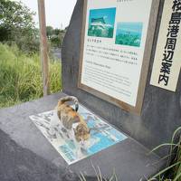 鹿児島・宮崎（２）---仙巌園＆噴火したばかりの桜島へ