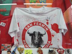 2013年　スペイン　Madrid発、１２の町を１５泊で周遊の旅　／　PAMPLONA (パンプローナ）牛追い祭りルートを歩く