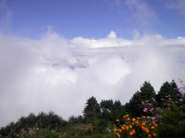 目を覚ますと窓の外は無情にもしとしと雨。<br /><br />最近は早朝雨のちくもり、昼から良いお天気というパターンが続いているので、今日もそのパターンでいずれは止むだろう、、、<br />天に期待して、今日はついにヒマラヤを遠くに一望できるカカニの丘行きを決行する。<br />まさに運を天にまかせて、、、<br /><br />ナーガルコットの丘、ドゥリケルの丘とならんで、カトマンドゥ盆地３大ヒマラヤ眺望の丘のひとつだ。<br />みんな事前の調べはついているし、バスの乗り場もチェックしてある。<br /><br />万事、あい、整いました。。。。。 <br /><br />＊緊急避難ページ⇒<br />http://www.geocities.jp/dsytc196/2013eightth_040.html<br /><br />