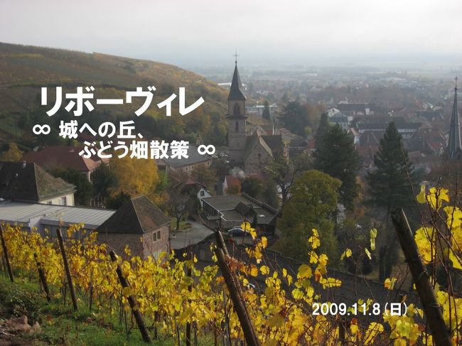 2009.11.8（日）リボーヴィレ　城への丘、ぶどう畑散策<br /><br />リクヴィルとの間に広がるブドウ畑に行くはずが、城の見える景色に惹かれて、リボーヴィレの奥へと向かいました。<br /><br />道はブドウの丘に続き、そこからの眺めは絵本の世界！霧に覆われるブドウ畑も見ることができました！<br /><br />ホテルに一度戻ってから、今度こそリクヴィル方向へ。<br /><br />ブドウは葉を落としていましたが、どこまでも続くブドウ畑に大感激でした！<br /><br />（旅行期間：2009年11月6日〜11月14日）<br />