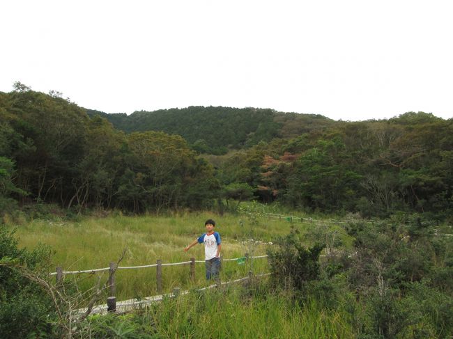 愛知県豊橋市にある、葦毛（いもう）湿原・岩崎自然歩道<br /><br />約２５０種もの高山性植物が自生しており、大自然の醍醐味を堪能できるスポット。トレッキングファンの間では、「東海のミニ尾瀬」と称賛される・・・とガイドブックにあったので、行ってみることにしました。<br /><br />全長６．５キロの爽快なハイキングコースらしいのですが、その間のちょっぴりだけ、歩いてきました。