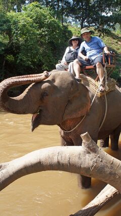 Sabaai! Northern Thailand（17）メーテンのエレファントキャンプで象に乗り、牛車に乗った後は筏を操り川を下る。