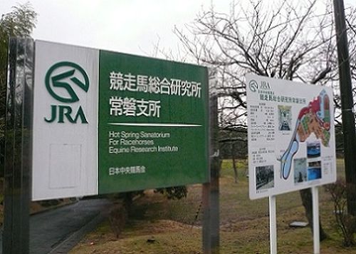 福島:いわき】 馬の温泉 ~ JRA競走馬総合研究所常磐支所 福島:いわき】 馬の温泉 ~ JRA競走馬総合研究所常磐支所