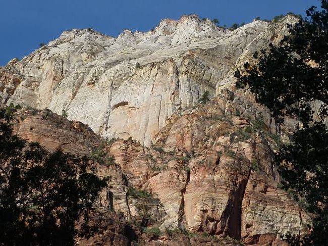 アメリカの国立公園などを巡るルート「グランド・サークル」のうち<br />ユタ州南部　ザイオン国立公園は　岩の芸術の宝庫と言われます<br />見事なスケールのパノラマが広がります<br /><br />詳しくはhttp://bellano.cocolog-nifty.com/blog　でお読み下さいね