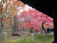 ２４時間でめぐる　紅葉と京都駅南エリア