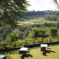 緑豊かなサマヤウブドで癒しの休日【2013Ubud,Bali】