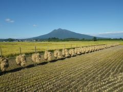 秋の素敵な田園風景