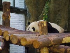 上海野生動物園（西安上海の旅７日目～８日目帰国）