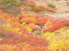 紅葉真っ盛り、木曽駒ヶ岳へひとり登山。