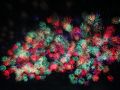 鴻巣　花火大会　秋の夜空を彩る大輪の花たち　でも写真は失敗しちゃいました！