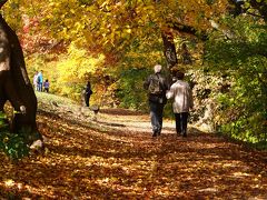 ブダペストの美しい秋を求めて　～Normafaをハイキング～
