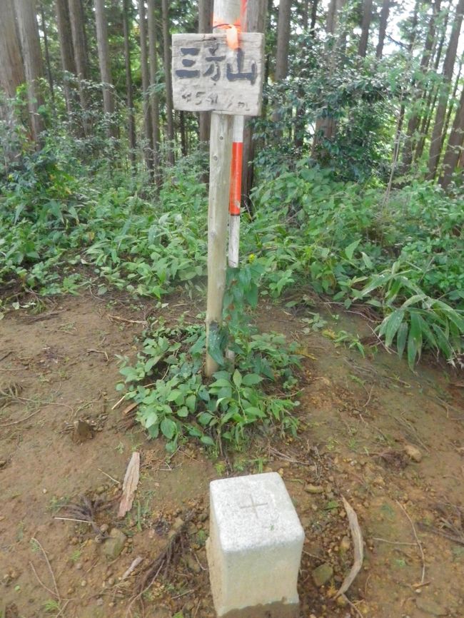 青梅線軍畑駅から舗装道路を高水三山方面に歩き、途中の分岐を成木方面に向かって榎峠から青梅丘陵ハイキングコースの山道に、登ったり下りたりしながら雷電山へ、ここで休憩と昼食をとりました。<br /><br />午後は辛垣城址を巻いて歩き、三方山へ、そのまま青梅方面にあるいて途中に石神前駅に出る下山道があったので沢沿いに下りました、途中から林道になって、やがて青梅街道に出て、青梅線の石神前駅到着。<br /><br />83歳（男性）の山仲間など6人で歩きました、ゆっくり時間を掛けて歩きました、10月としては異常な暑さでしたが、山の上では涼しかったです。