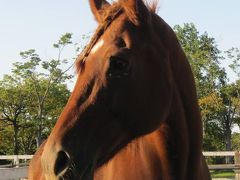 おとなが行っても楽しい「埼玉子ども動物自然公園」