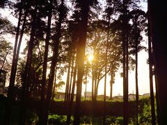 鎌ケ谷-3　下総小金中野牧跡　軍馬放牧場の史跡　☆貝柄山公園で見た夕日