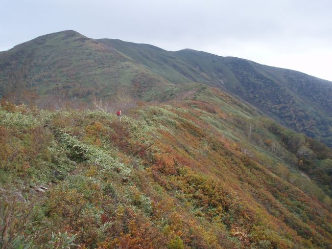 10月3連休、紅葉を期して山歩きを楽しみたい<br />でも、混んでいる山はちょっと…ということで<br />初めての山、平標山へ行ってみました。<br /><br />平標山は花で有名な山で初夏の頃はかなり賑わうようです。<br />こんな時期なので空いてるかなと思いましたが、<br />予想以上に大勢の人が登っていました。<br />登山道は整備されていて安全ですし、人気の山なのも納得です。<br />紅葉は今一つでしたが、秋の1日楽しめてよかったです。<br />