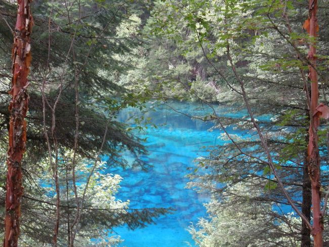 この旅行のメインの九寨溝!<br />神秘的な水の色に魅了され、チベット文化も少し触れた一日。<br />ただ、一番期待していた五彩池が人が多すぎて、素通りだったのが残念。<br /><br /><br /> 8月11日(土) 出国<br /> 8月12日(日) 峨眉山<br /> 8月13日(月) 楽山<br />★8月14日(火) 九寨溝<br /> 8月15日(水) 九寨溝<br /> 8月16日(木) 黄龍<br /> 8月17日(金) 成都<br /> 8月18日(土) 帰国