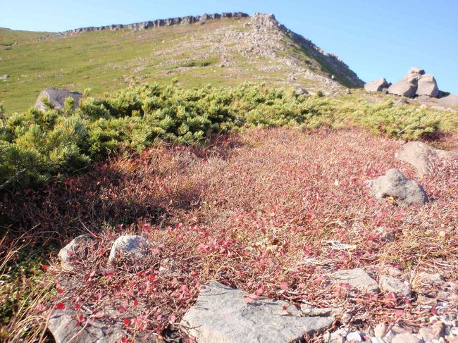 ?沢口登山道8合目、金剛堂付近のナナカマドと三の池、四の池あたりの草紅葉を見たくて濁河温泉から飛騨登山道を登り、五の池小屋に泊まり2700〜3000m山頂付近を歩き周りましたがナナカマドはすでに葉が落ち真赤な実のみでした。今は２５００ｍ〜２０００ｍ辺りが紅葉のピーク、日増しに降りてきます。紅葉には恵まれませんでしたが好天に恵まれ、満足満足の2日間でした。