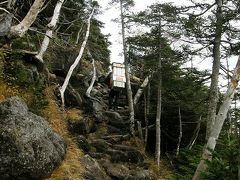 初秋の蓼科高原を歩く・・・②北八ヶ岳の北横岳・縞枯山を歩く