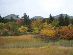 2013秋　青森・酸ヶ湯・八甲田旅行記　３　～雨の八甲田山麓～