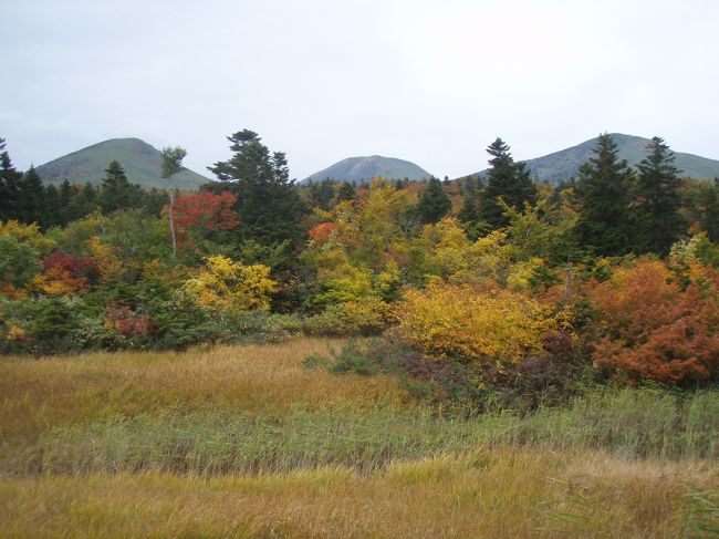 紅葉を期して母と八甲田を旅しました。<br />お天気に恵まれず、八甲田大岳には登れませんでしたが、<br />紅葉は楽しめました。<br /><br />日程<br />10月7日（月）：東京ー新青森ー八甲田ロープウェイ（山頂散歩）－酸ヶ湯温泉（泊）<br />10月8日（火）：－毛無岱散策ー睡蓮沼ー田代平湿原ー八甲田リゾートホテル（泊）<br />10月9日（水）：－新青森駅ー東京<br /><br />毛無岱で紅葉を愛でた後は、この時期だけ運行されるシャトルバス<br />に乗って反対側の田代平湿原へ行こうと考えました。<br />ただ、今一番の紅葉が見れるという睡蓮沼も心残りで…<br />タクシーの運転手さんに声をかけていただいて、駆け足ながら<br />睡蓮沼の紅葉も見ることができました。<br />3日間雨に見舞われ続けたけど、のんびりできてよかったのかも<br />と今、思います。