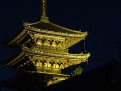第38回『京の夏の旅』文化財特別公開（2013年）巡り（1日目）