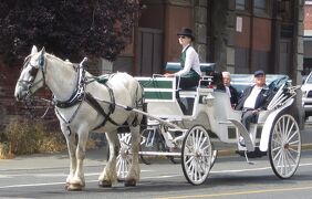 Canada　バンクーバー　世界でいちばん住みたい街(24/24)　ビクトリアの街角で　 カメラが戻った！