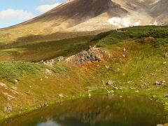 北海道は“大陸”だった！　道内２千キロ走破、バスの旅ーその２・一面のお花畑と雄大な旭岳 《後編・旭岳と滝とキタキツネ!?》ー　