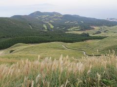 知られざる絶景　稲取　細野高原　すすき野原