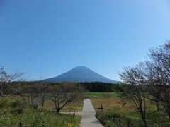 今回の秋旅は、いろんなトコから富士山を見る☆静岡版＠三保の松原～富士山が見える道の駅＠