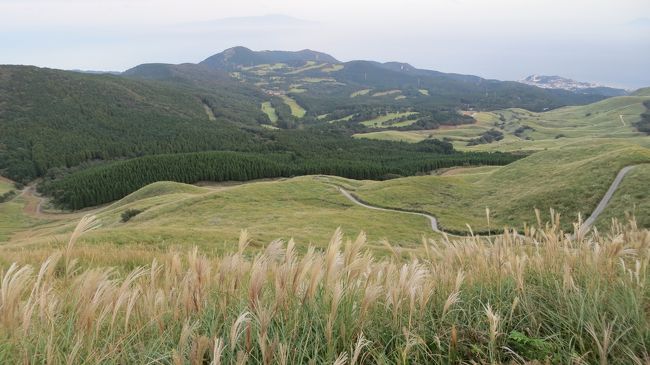 知られざる絶景　稲取　細野高原のすすき野原に行ってきました。<br /><br />あいにく遅い時間に到着し、ほとんど日が沈みかけている状態で<br />短い時間しか楽しめなかったのですが　行ってよかった！<br /><br />「知られざる絶景」と言って良いと思います。<br /><br />行こうかな、と迷っている方は<br />たとえ短い時間であっても<br />行った方がトクだと思います。<br /><br />ボクは世界を８６カ国をまわり、「世界の絶景」と呼ばれるものを<br />いくつも　いくつも見ましたが<br />稲取　細野高原のすすき野原は　人を圧倒するような迫力はないものの<br />なにかこころを落ち着かせてくれるというか<br />わかりやすくいうと　「トトロの世界」　のようなもので<br />田舎に育った方だけでなく　都会で育った方にも<br />ある種のノスタルジックな気持ちを起こさせるような　そういう何かがあるように思いました。<br /><br />時間帯が遅かったことや滞在時間が極端に短かったために<br />あまり良い写真がなく、良さが伝わりにくいと思うのですが<br />ぜひおすすめです！　<br /><br />良い写真でたくさん紹介されれば　おそらくブレークすると思います。<br /><br />ここは　ゆっくり散策されることをおすすめします。<br /><br />小さなお子様が走り回っても楽しいと思いますが<br />中高年が　人生を見つめなおす（？）ふりかえる（？）<br />癒しのスポットとしても　童心にかえるスポットとしても<br />おすすめです。<br />