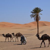 じじいのバイク一人旅１９(続続モロッコ・一時帰国編)