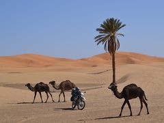 じじいのバイク一人旅１９(続続モロッコ・一時帰国編)