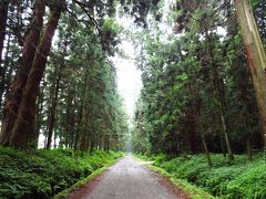 ＜五街道ウォーク・日光街道編＞　ゴール目前！　日本橋～今市宿までのダイジェスト☆