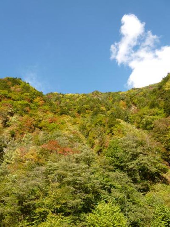 秋の信州　上高地と別所温泉の旅♪　Ｖｏｌ１（第１日目午前）　☆東京から上高地へ♪