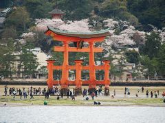 厳島神社と桜