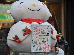 東京散歩　＜おばあちゃんの「原宿」巣鴨・旧古河庭園・歌舞伎座・柴又＞