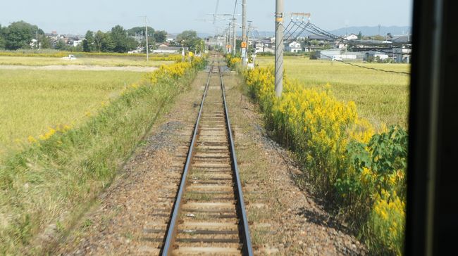 周囲を小高い山に囲まれた奈良盆地。古代、その東に連なる美しい青垣の山裾を縫うように、三輪山の麓から石上布留を通り、奈良へと通じる道があったとか・・・。<br /><br />「日本書紀」にその名が残る、それが「山の辺の道」です。ここ数年、奈良へ行くと必ず訪ねています。<br /><br />山の辺の道沿いには、今も「記紀・万葉集」ゆかりの地名や伝説が残り、数多くの史跡に出遭え、訪れる人を「古代ロマンの世界」へと誘います。<br /><br />「山の辺の道」の目的は、日本最古の神社と言われる「石上神宮」(いそのかみじんぐう)と大神神社(おおみわじんじゃ)ですが、いつ行っても気持ち良く散策が出来ます。<br /><br /><br />この旅行記は以下の二つの旅行記とセットになってます。<br />○ふたたびの奈良・・・世界遺産・国宝編(^^)<br />http://4travel.jp/traveler/bali_indonesia/album/10823324/<br />○ふたたびの奈良・・・古都奈良の旅館編♪(^^)<br />http://4travel.jp/traveler/bali_indonesia/album/10825392/