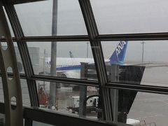 飛行機のルーツを辿る旅その２