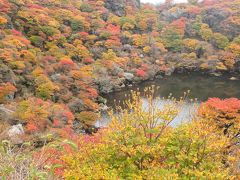 紅葉と原生林のくじゅうを歩く（大船山へ）