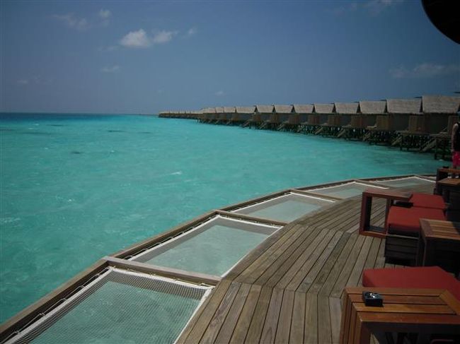 Centara Ras Fushi Resort & Spa Maldives<br />(センターラ ラスフシ リゾート&スパ モルディブ)<br />(2013年10月01日現在の情報です。情報は予告なしに変更されますので、予めご了承ください。)<br /><br />『マリンブルーのラグーンがとっても綺麗!』<br />タイにいくつものホテル&リゾートを展開するセンターラが、2軒目のリゾートを<br />2013年3月24日にオープンしました。<br />12歳未満のお子様が宿泊できませんので、カップルで大人のバカンスを過ごしていただけます。<br />ちょっとセンスが良く、でもカジュアルで気取らない、それでオールインクルーシブプランはとても嬉しい!<br /><br />マーレ国際空港からも近く、到着日に直ぐ移動できるので便利!<br />ラグーンの色がとても綺麗で、お部屋の周りには防波堤がないので、とても美しい景色です!ビーチもソフトでフカフカ〜気持ちがよい〜。<br />早やくのんびりしたい…気分になる心地良い雰囲気です。<br /><br />北マーレ環礁南西側に位置し、空港からスピードボートで約20分。<br />マーレ国際空港到着ホールリゾートカウンター 12番<br />空港では、センターラの空港スタッフがお出迎えをしてくれます。<br />スピードに乗船時はラフジャケット着用&ミネラルウォーターのサービスがあります。<br /><br />桟橋到着後、スタッフが笑顔でお出迎えしてくれます。<br />桟橋にはセンターラの『C』が飾られています。まずは綺麗な海と1ショットを…!<br />お魚の飾りがあるレセプションにご案内。<br />リフレッシュタオルとウエルカムドリンクサービスがあります。<br />宿泊カードを記入し、チェックイン手続きをします。<br />リゾートの地図、日本語のリゾートインフォメーションブックをいただけますので、必ず読みましょう〜。<br />お部屋の説明など、とても丁寧にしてくれますので、わからないことが有ればその場でお尋ねください。<br />お部屋には、施設のご案内のインフォメーションがあります。<br /><br />島の雰囲気<br />徒歩で島内を歩いても10分弱くらいの小さな島。<br />ちょっとセンスがよく、お部屋&プールはボート型のコンセプト。<br />各種レストラン&レセプションは、ナチュラル感を生かしています。<br />妨げになる物が無いので視界がとても美しい〜〜〜。<br />西側のラグーンが得に綺麗で、ただボ〜っと眺めているだけでも飽きません。<br />水上コテージは、南&西側桟橋とありますが、西側桟橋は何処まででも続く綺麗なラグーンの景色。<br />ビーチのお部屋が全室サンセット向きで、目の前のビーチがソフトでフカフカしていてとても気持ちが良いです。<br />ビーチには、サンチェアが並んでおり人気のビーチです。<br />もちろんサンセットの眺めはバツグン!<br />スイミングプールは、ボートの形をしたインフィニティプール。<br />夜は、色といどりに変化し、ロマンティックな場所です。<br />レセプション&レストランは、わら葺屋根、白い壁に、サンドカーペットと、モルディブらしいく、中はおしゃれな飾り付け。天井も高く、オープンエアーの空間です。<br />小さなお子様がいないので、大人の雰囲気で楽しんでいただけます。<br />人気の場所は、もう一つ。Viu Bar!<br />西側水上コテージ桟橋ふもとにある水上バーです。<br />マリンブルーのラグーンが一望でき、テラスにはネットがあり、最高のくつろぎの場。<br />中は窓際がカウンター式のテーブルなので、皆様ラグーンビュー〜。<br />真中は丸く抜けているので、ラグーン内が見えます。<br />1日中人気の場所です。<br />お部屋でのんびり、ビーチでのんびり、プールでのんびり、と…のんびりされている方が多いです。<br /><br />スタッフはとてもフレンドリーで、いつでも気軽に声をかけてくれます。<br />気軽に会話を楽しまれてみてください。<br /><br />ハウスリーフでのスノーケリング<br />東側のハウスリーフは、魚も多くておもろいです。<br />メイン桟橋のふもとにラグーンに降りられる階段がありますので、そこからエントリー。<br />防波堤の間からドロップオフ側に泳げます。リーフは右肩にして水上コテージ方向へ。<br />ドロップオフはなだらか。<br />ドロップオフまでのラグーン内には、テーブル珊瑚が広がっています。<br />珊瑚に住んでいる色とりどりのスズメダイ、シマハギ、オヤビッチャ、カラフルナブダイ&ベラちゃん&パウダーブルー系など、いろんな魚がいます。また、よ〜く見るとタコ、タコ、タコもいます。<br />水位が十分にあると、このラグーン内でも十分に楽しめます。<br />ドロップオフ側には、群れ物系も多くヨスジ、ウメイロモドキ、クマザサハナムロ、タカサゴ。カスミアジ、チョウヨウウオ、ムスジジコショウダイ、カマス、ヤッコ系、カメ、サメ、マダラトビエイ。いつもモルディブにいる魚です。<br />パッセージがないので、出入りある場所がおなじになります。<br />潮が流れていないと、水上コテージ後方まで泳げますが、戻ってくる体力も考えて…。<br />南側がチャネル方向になりますので、十分に気を付けましょう!<br />北側は、プール辺りから泳げます。リーフを左肩にして水上コテージ方向へ、<br />珊瑚の元気度は高くはありませんが、魚はいます。ま〜それなりに楽しんでいただけると思います。<br />*潮の流れの方向&速さは時間帯により異なりますので、必ずダイビングセンターで確認の上泳がれてください。<br /><br />Webesite :www.centarahotelsresorts.com<br />Email : crf@chr.co.th<br />電話:(960)664−0440<br />ファックス:(960)664−4881<br />リゾート日本人スタッフ:入る予定です。<br />日本人ダイビングインストラクター:いません。<br /><br />時間<br />日本との時差4時間<br /><br />トランスファー<br />スピードボートで約20分<br /><br />島のサイズ<br />1周歩いて約10分弱<br /><br />チェックイン 14:00<br />チェックアウト 12:00<br /><br />電気圧<br />220V〜240V 50Hz<br />プラグ:BFタイプ(三椏平)。マルチプラグ有り。<br />ベッドサイドのプラグは日本のコンセントが使えます。<br />レセプション<br />24時間<br />天井が高くサンドカーペットが広がるレセプション内には、中央に魚飾りがあり、モルディブらしさが漂っています。<br />ゲストリレーションデスクもありますので、両方で対応ができます。<br /><br />キャッシャー<br />24時間<br /><br />クレジットカード<br />ビザ、マスター、アメリカンエクスプレス *ジエシービー不可<br /><br />キャッシュの取り扱い<br />アメリカドル、ユーロ、日本円、モルディブルフィア<br />*アメリカドルのトラベラーズチェックの使用可<br /><br />インターネットカフェ<br />Wife使用可能エリア:島全体/無料。<br /><br />日本への電話&ファックス<br />電話:US$3/1分<br />ファックス:US$3/1分<br />ローカルコール:US$1/1分<br />*料金には10%サービスチャージ+8%GSTが加算されますので、予めご了承ください。<br /><br />カクテルパーティー<br />毎週木曜日 18:00〜19:00/Waves Pool barにて。<br /><br />DVDレンタル<br />レセプションにて貸し出し。無料。<br /><br />ライブラリー<br />レセプション雑誌等な並べてあります。<br /><br />ご出発案内<br />ご出発日前日の夕方、お部屋に入りますので、ご確認ください。(通常夕食時間帯)<br />例<br />Departure Information(ご出発案内)<br />●Check out time and Luggage pick up from your villa<br /> お部屋のチェックアウト&お荷物のピックアップ時間<br />●Your Speed Boat is scheduled to depart at<br /> 桟橋からスピードの出発時間<br /><br />シャワールーム<br />2部屋<br />シャワー、トイレ、バスタオル、ボディソープ、シャンプー、コンディショナー、ヘアードライヤー<br />12:00にお部屋のチェックアウト後、リゾート出発までお時間がある際はご利用できます。ご希望の際は、レセプションにお問い合わせください。<br /><br />ハネムーンサービス<br />スパークリングワイン(1本)、テラスでのカナッペサービス、ギフト<br />*結婚後3ヶ月以内に適用となります。チェックイン時に結婚証明書の提示が必要となります。<br />*ホテルからのサービスにつき、内容は予告なく変更となる場合がありますので、予めご了承ください。<br /><br />お誕生日<br />ケーキ<br /><br />結婚記念日<br />スパークリングワイン(1本)、テラスでのカナッペサービス<br /><br />リピーターサービス<br />スパークリングワイン(1本)<br /><br />キッズクラブ&ベビーシッターサービス<br />無し。12歳未満のお子様はご宿泊できません。<br /><br />クリニック<br />09:00〜13:00/14:00〜17:00<br />初診料無料 US$30/お部屋への訪問US$40/時間外US$60<br />薬代有料<br />車いす 有りx2<br />松葉杖 有り<br />AED 有り<br />時間外で緊急時は、レセプションスタッフにお尋ねください。ドクターを呼んでくれます。<br />*料金には10%サービスチャージ+8%GSTが加算されますので、予めご了承ください。<br /><br />エイ&魚の餌付け<br />あり。Viu Bar前の桟橋。17:00から。沢山の魚が集まってきます!<br /><br />