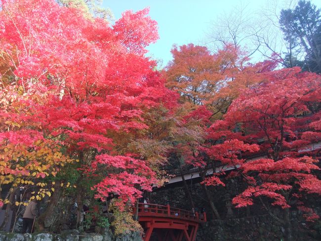2010年、紅葉を見に岐阜県揖斐川町谷汲の華厳寺～横蔵寺へ行ってきました。