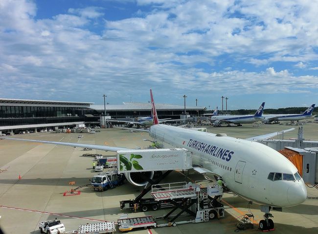 1日目：成田〜トルコイスタンブールへ<br />　翌日のカッパドキアへの移動に備え空港近辺のホテルんて宿泊<br /><br />トルコ航空を個人利用する方は、<br />予めオンラインチェックインを出発24時間前からできるのでおススメです。トルコのホテルは無料WiFiが利用できるところも多いので、重くないようでしたらPCを持参されるとトルコ国内線、帰国時もオンラインチェックインでスムーズです。<br /><br />